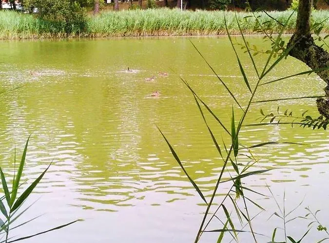 Сasa de vacaciones Maison Charmante Aux Mathes Avec Jardin Clôturé. Les Mathes