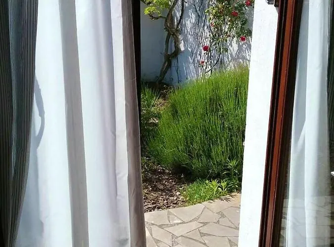 Maison Charmante Aux Mathes Avec Jardin Clôturé. *