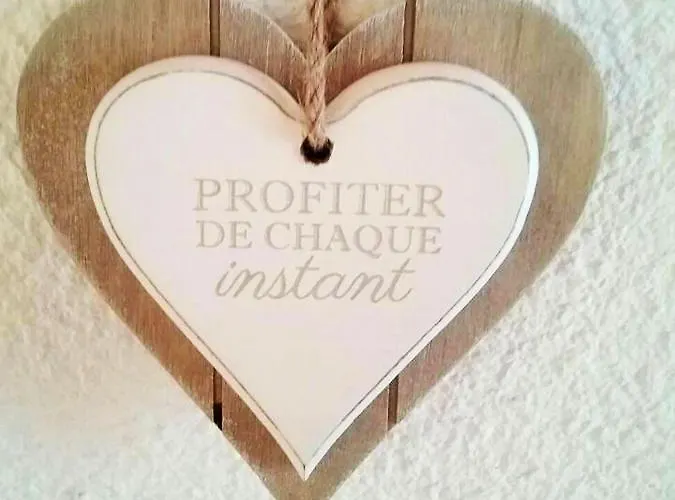 Maison Charmante Aux Mathes Avec Jardin Clôturé. Сasa de vacaciones *