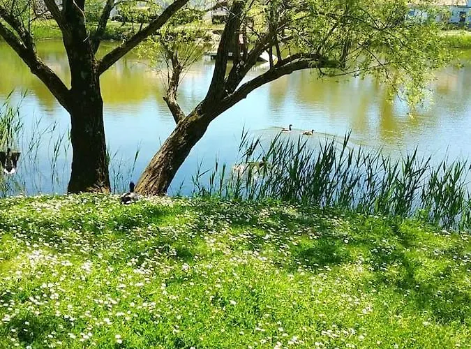 Сasa de vacaciones Maison Charmante Aux Mathes Avec Jardin Clôturé.