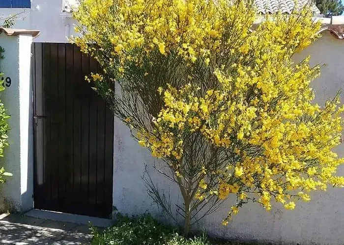 Maison Charmante Aux Mathes Avec Jardin Clôturé. Les Mathes