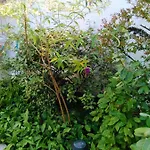 Maison D'une Avec Jardin Clos Et Wifi A