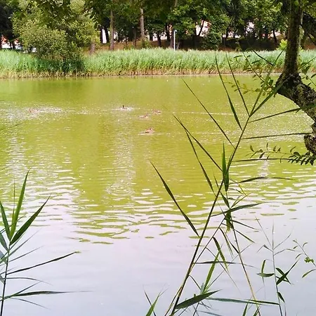 Σπίτι διακοπών Maison Charmante Aux Mathes Avec Jardin Cloture. Les Mathes