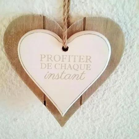 Maison Charmante Aux Mathes Avec Jardin Cloture. Σπίτι διακοπών *