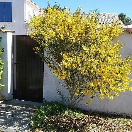 Maison Charmante Aux Mathes Avec Jardin Clôturé. Les Mathes