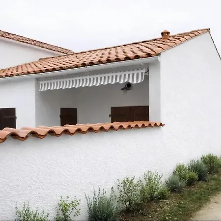 Maison Charmante Aux Mathes Avec Jardin Clôturé.