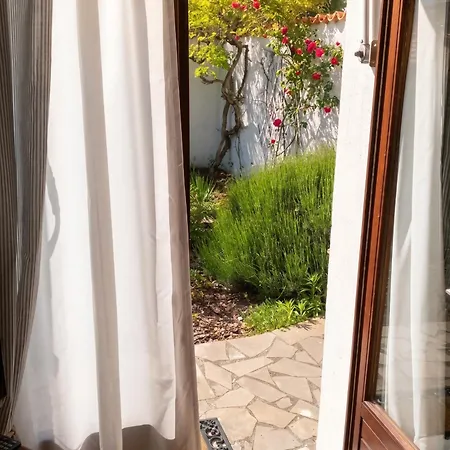 Maison Charmante Aux Mathes Avec Jardin Cloture.