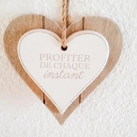 Maison Charmante Aux Mathes Avec Jardin Cloture. * Les Mathes