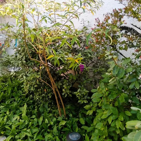 Maison Charmante Aux Mathes Avec Jardin Cloture. Prázdninový dům *