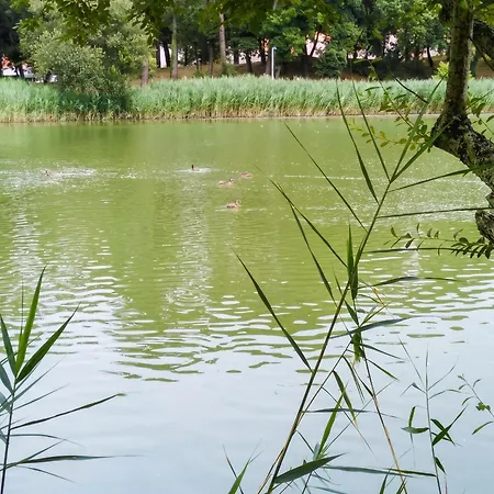 Maison Charmante Aux Mathes Avec Jardin Cloture. Les Mathes