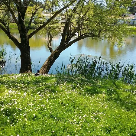Maison Charmante Aux Mathes Avec Jardin Cloture. Σπίτι διακοπών