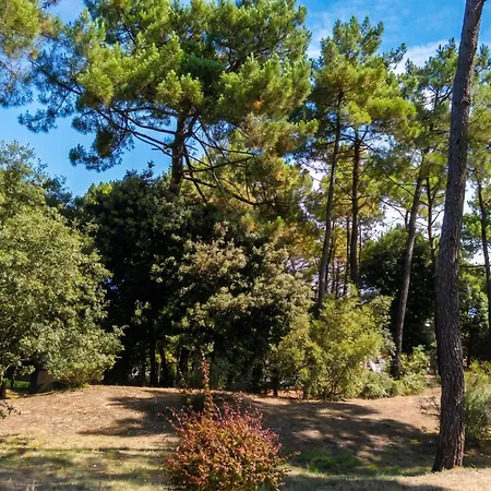 Maison Charmante Aux Mathes Avec Jardin Cloture.
