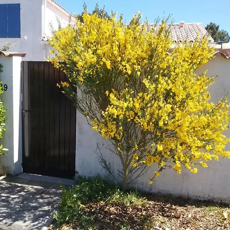 Maison Charmante Aux Mathes Avec Jardin Cloture. Σπίτι διακοπών