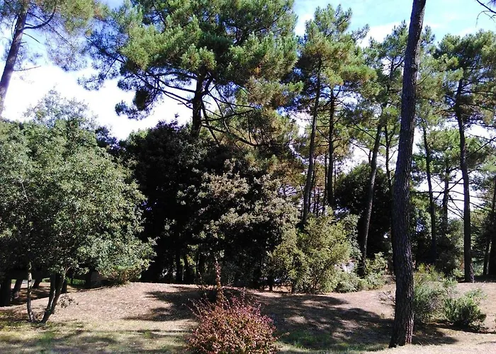 Сasa de vacaciones Maison Charmante Aux Mathes Avec Jardin Clôturé.